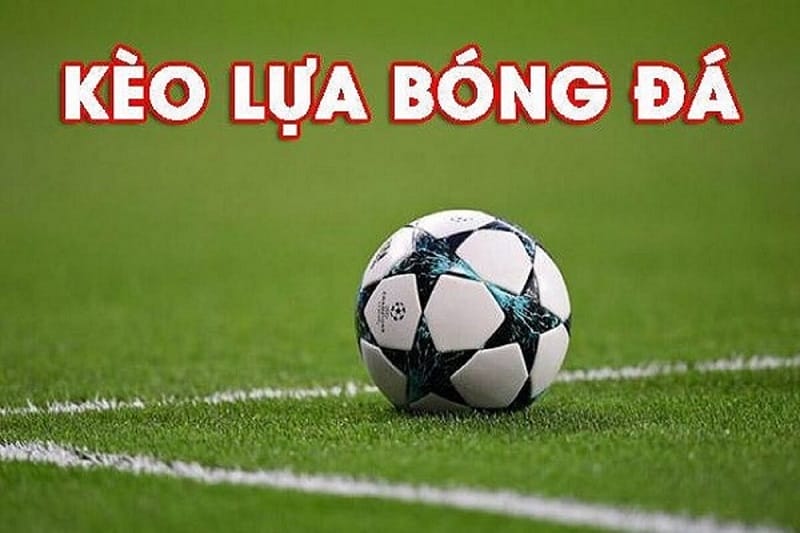 Kinh nghiệm và mẹo chọn kèo lựa hiệu quả từ cao thủ