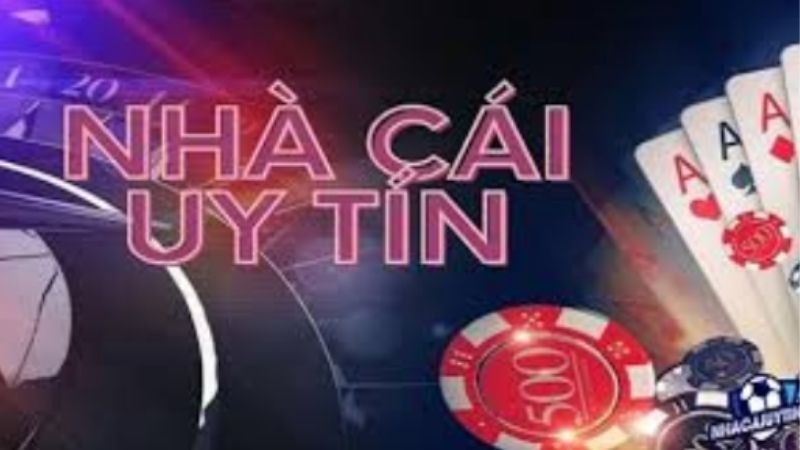 Bật mí Top 3 Nhà Cái Uy Tín, Trả Thưởng Cao Nhất
