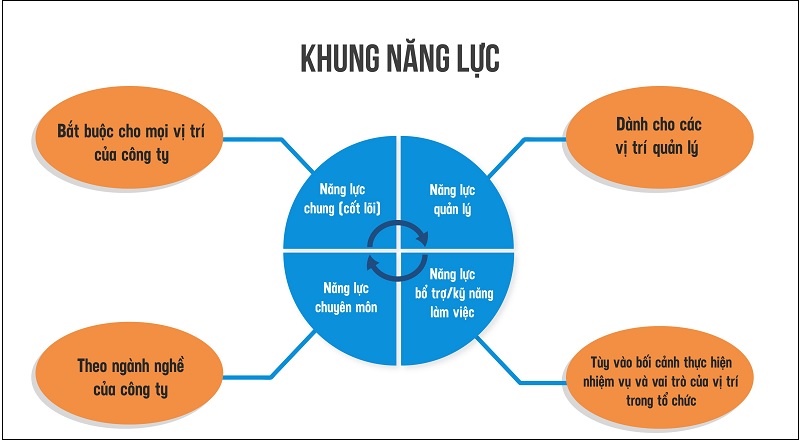 Khung Năng Lực Là Gì Và Tại Sao Lại Quan Trọng?